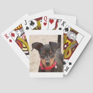 Miniatur-Pinscher-Schwarz und Rost Spielkarten