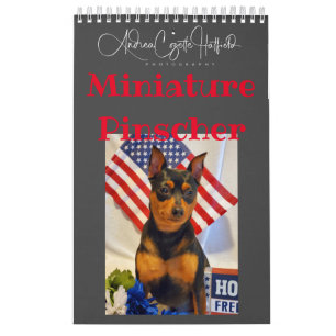 Miniatur Pinschers Kalender