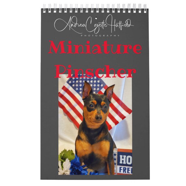 Miniatur Pinschers Kalender (Titelbild)