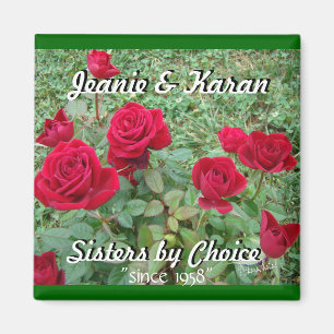 Miniatur Rose-fertigen besonders an Magnet