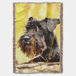 Miniatur-Schnauzer Decke