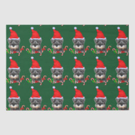 Miniatur-Schnauzer in Weihnachtsmannmütze-Gewebepa Seidenpapier