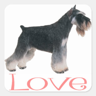 Miniatur Schnauzer Welpen Hund rosa Liebe Aufklebe Quadratischer Aufkleber