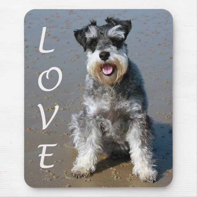 Miniatur Schnauzer Welpen-Hundepolster Mousepad (Vorne)