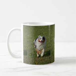 Miniaturamerikanischer Schäferhund Blauer Merle Ru Kaffeetasse