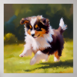 Miniaturamerikanischer Schäferhund Poster