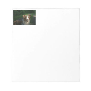 Miniaturamerikanischer Schäferhund Red Merle Notizblock
