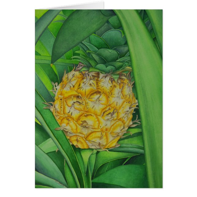 Miniaturananas (Vorne)