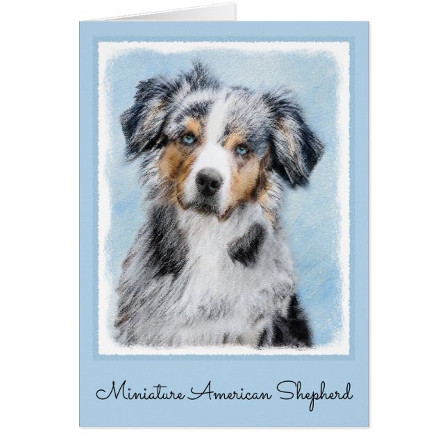 Miniaturbild Amerikanischer Hirtenmaler - Hundekun (Vorne)