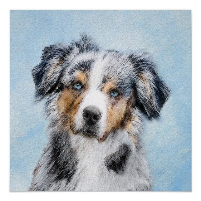 Miniaturbild Amerikanischer Hirtenmaler - Hundekun Poster (Vorderseite)