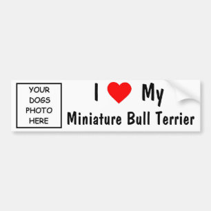 MiniaturBullterrier Autoaufkleber