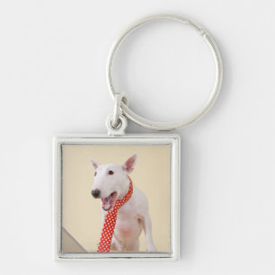 MiniaturBullterrier, der Laptop betrachtet, Schlüsselanhänger