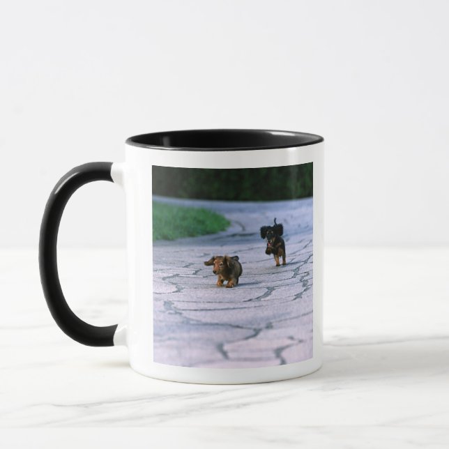 MiniaturDackel 3 Tasse (Links)