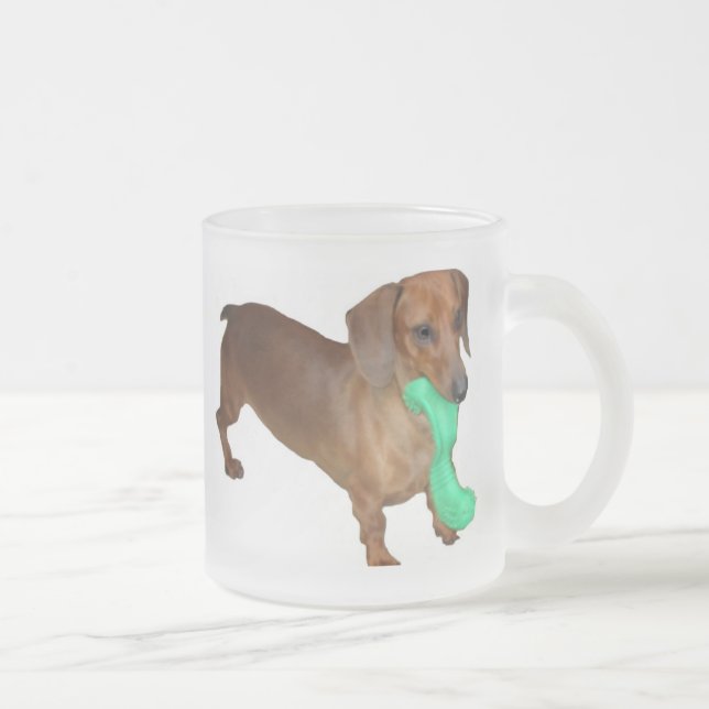 MiniaturDackel Mattglastasse (Rechts)