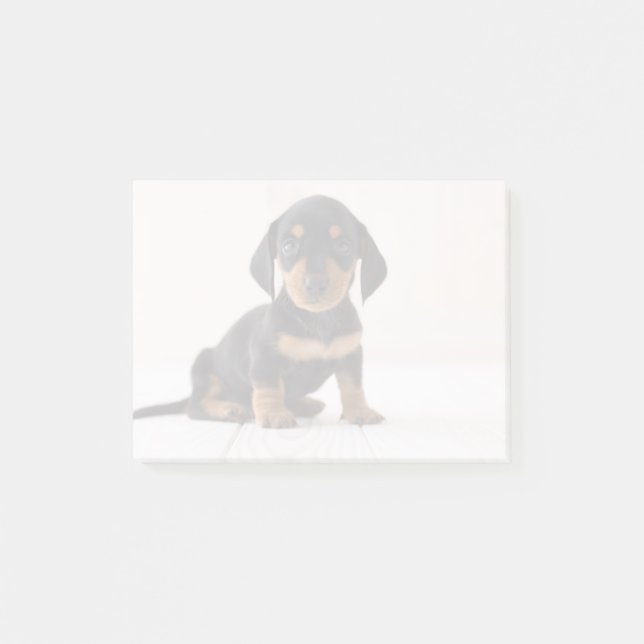 MiniaturDackel-Sitzen Post-it Klebezettel (Vorderseite)