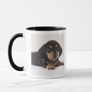 MiniaturDackel Tasse