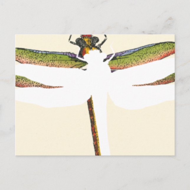 Miniaturdrachenfliege im weißen Hintergrund Postkarte (Vorderseite)