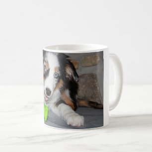 Miniature American Shepherd Blue Merle Puppy Kaffeetasse