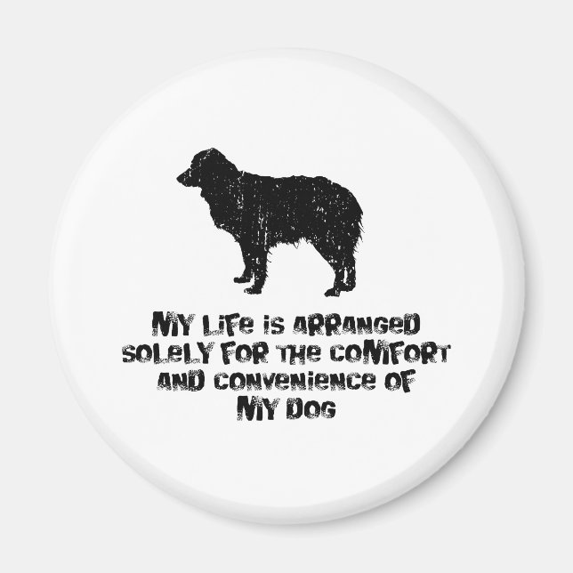Miniature Australian Shepherd Magnet (Vorne)