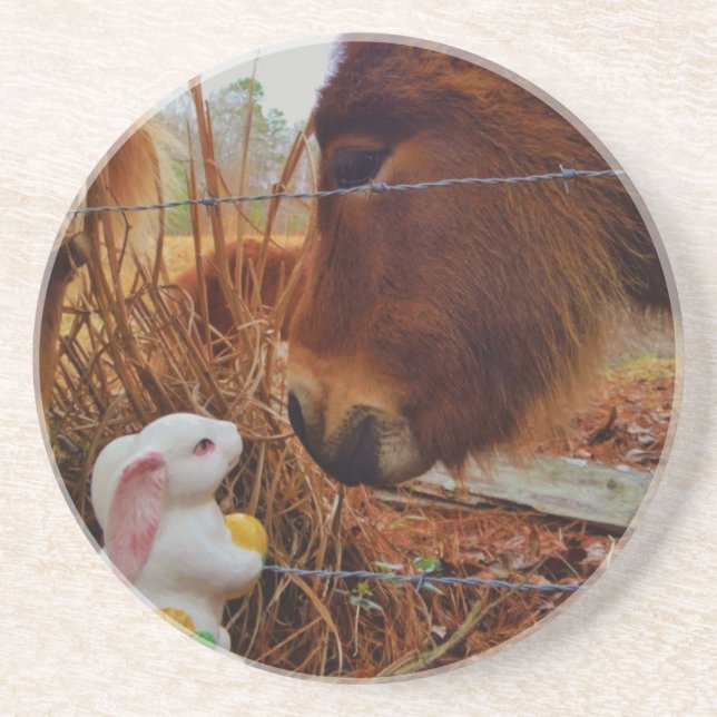 Miniature Brown horse & Easter Bunny Untersetzer (Vorne)