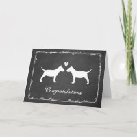 Miniature Bull Terriers Hochzeiten Herzlichen Glüc