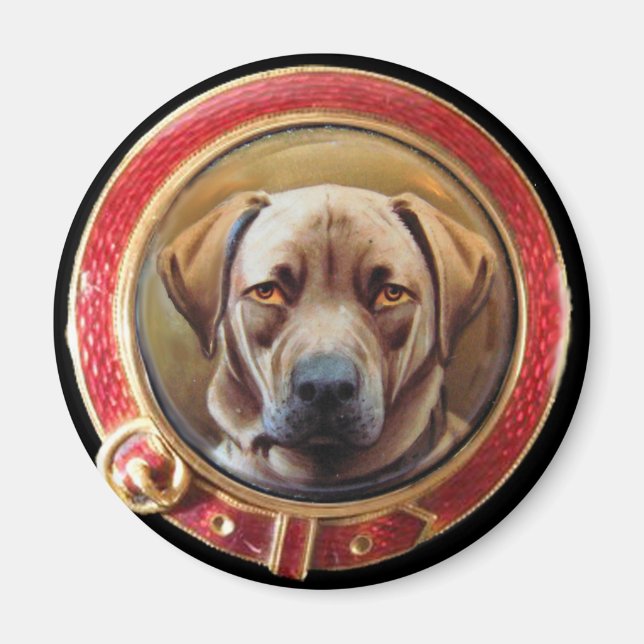 MINIATURE DOG PORTRAITS Schokolade Labrador Magnet (Vorne)