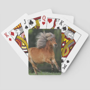 Miniature Horse Running Spielkarten