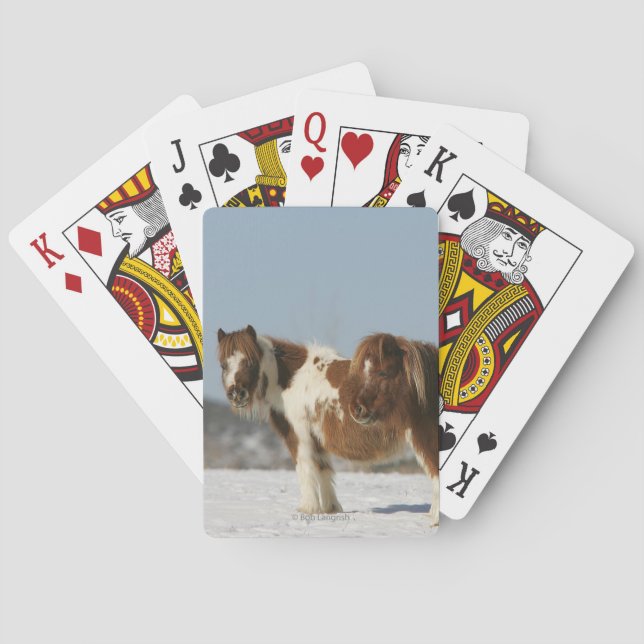 Miniature Horses Standing in the Snow Spielkarten (Rückseite)