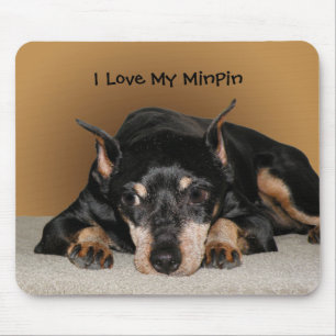 Miniature Pinscher aka Min Button Liebe Name Theme Mousepad