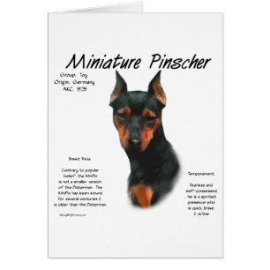 Miniature Pinscher (blk/rust) Historie Design