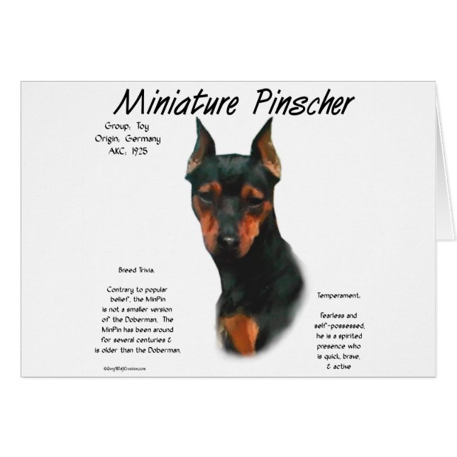 Miniature Pinscher (blk/rust) Historie Design (Vorderseite (Horizontal))