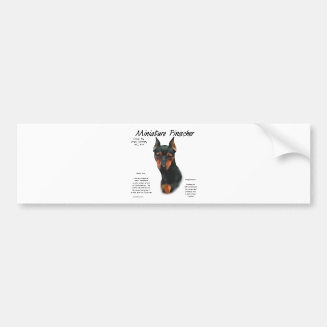 Miniature Pinscher (blk/rust) Historie Design Autoaufkleber (Vorne)