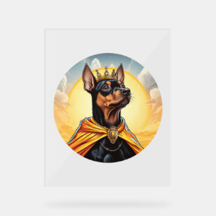Miniature Pinscher Chien King