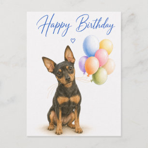 Miniature Pinscher Geburtstag Postkarte