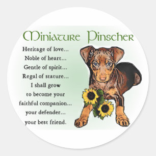 Miniature Pinscher Gifts Runder Aufkleber
