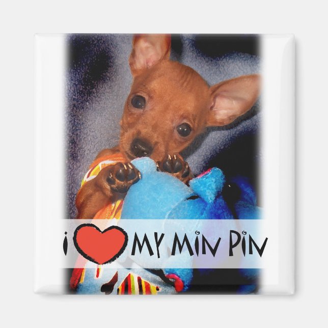 Miniature Pinscher Magnet (Vorne)