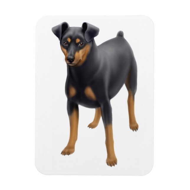 Miniature Pinscher Miniature Pin Premium Magnet (Vertical)