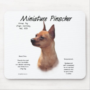 Miniature Pinscher (rot) Historie Design Mousepad