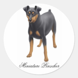 Miniature Pinscher Sticker