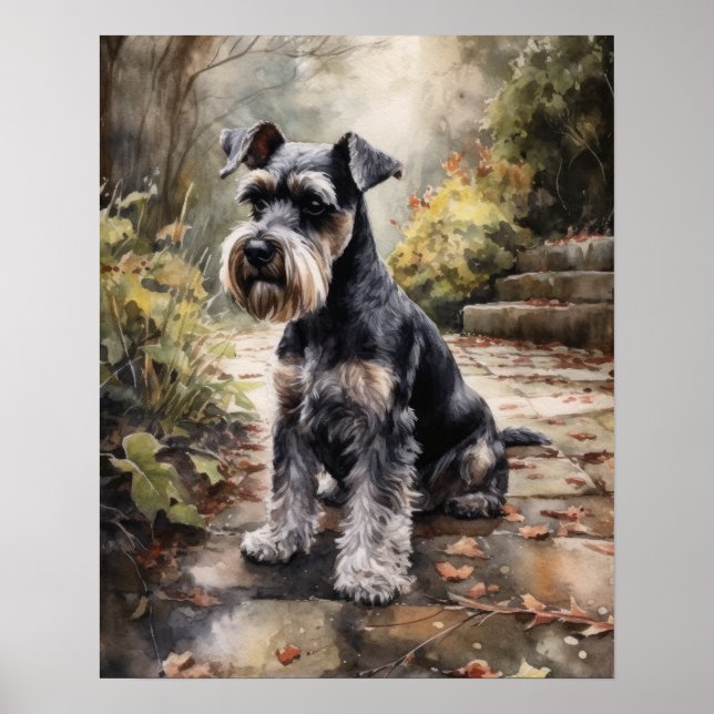Miniature Schnauzer Dog Art Print Poster (Vorne)