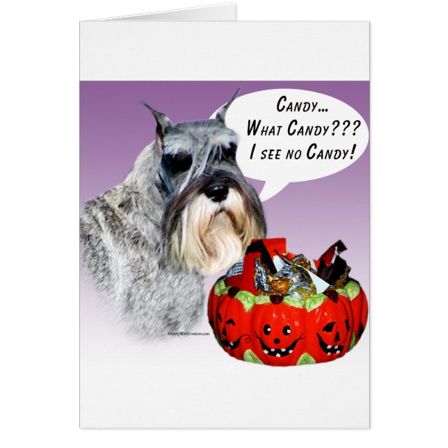 Miniature Schnauzer Halloween Candy (Vorne)