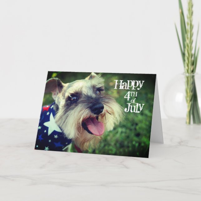 Miniature Schnauzer Happy 4. Juli Karte (Vorderseite)