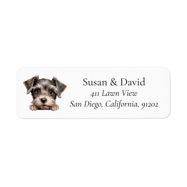 Miniature Schnauzer Hund Rasse Heimtierliebhaber (Vorne)