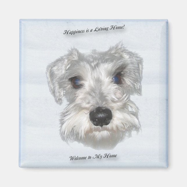 Miniature Schnauzer Magnet (Vorne)