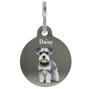 Miniature Schnauzer Personalize Haustiermarke