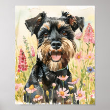 Miniature Schnauzer Poster - Funny Dog Art Print