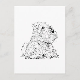 Miniature Schnauzer Postkarte – Hundeillustration