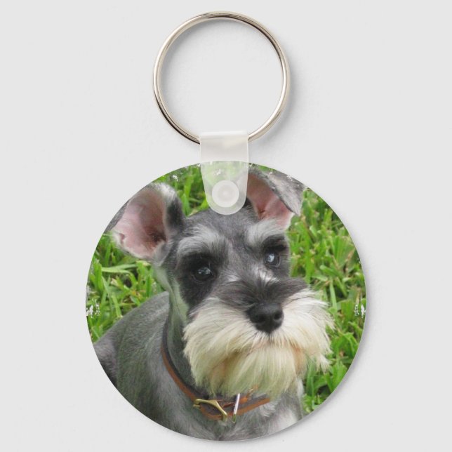 Miniature Schnauzer Schlüsselanhänger (Vorderseite)