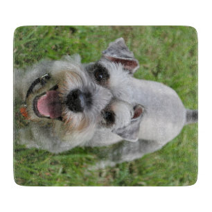 Miniature Schnauzer Smiling Schneidebrett