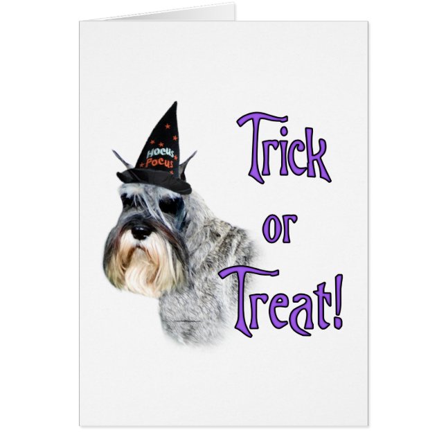 Miniature Schnauzer Trick (Vorne)